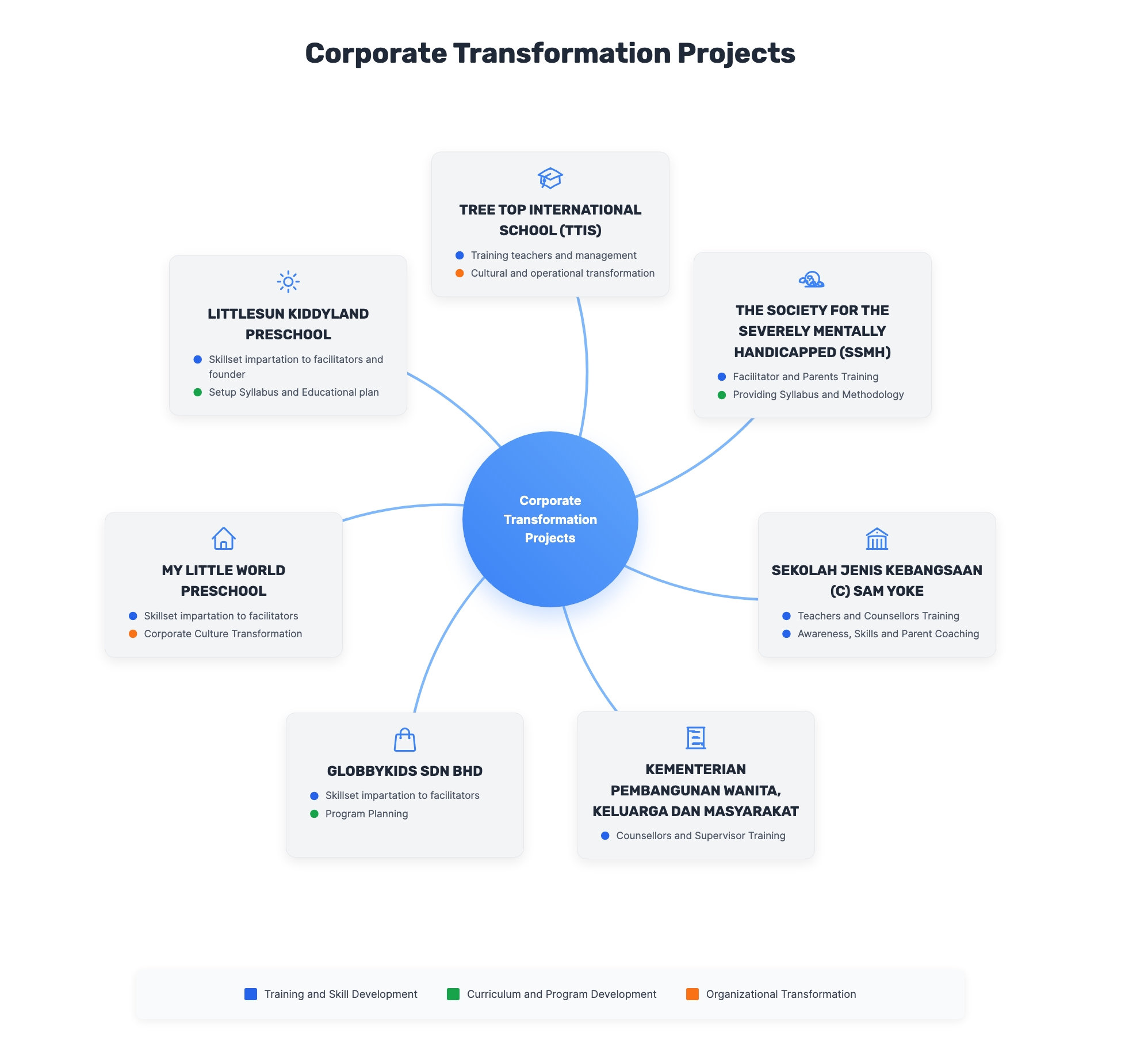Corporate transformation projects